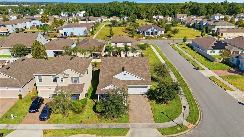 Birds Eye view