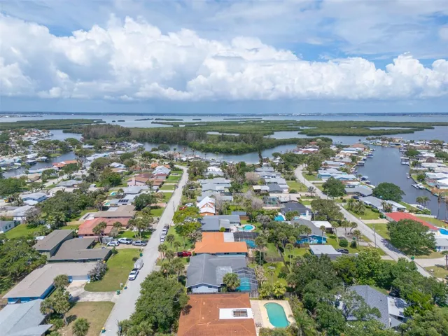 Minutes from the Banana River