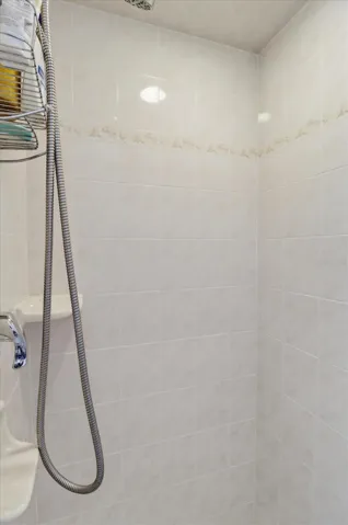 Tiled Shower w/ Handheld Showerhead