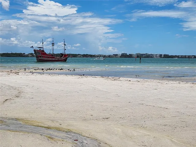 Watch the dolphins playing, too