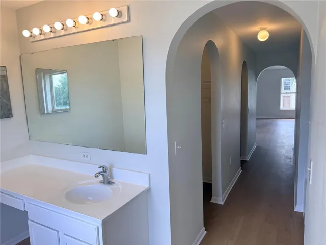 Primary Bathroom Sink
