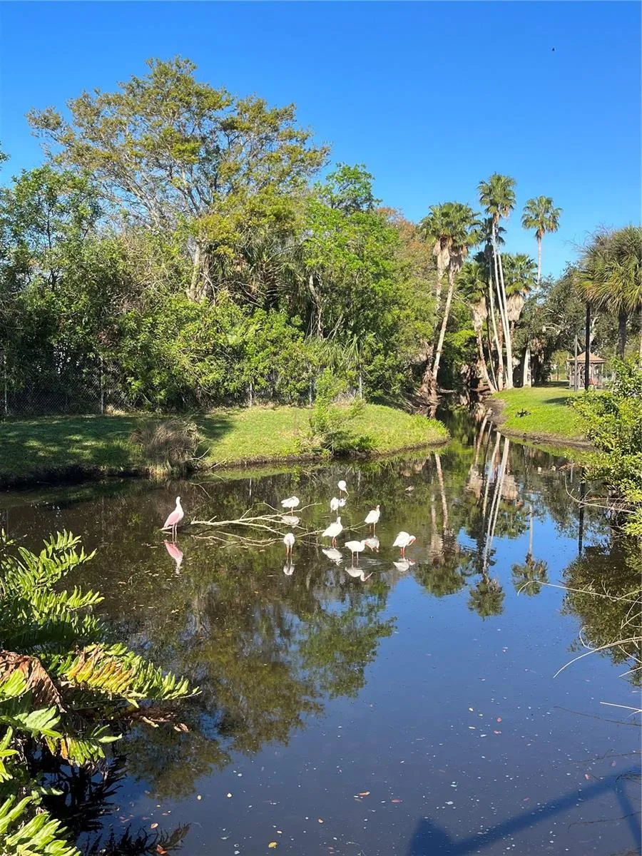IBIS PARK ONLY 3 BLOCKS AWAY.