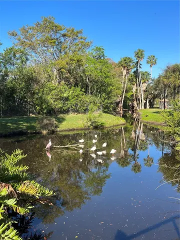 IBIS PARK ONLY 3 BLOCKS AWAY.