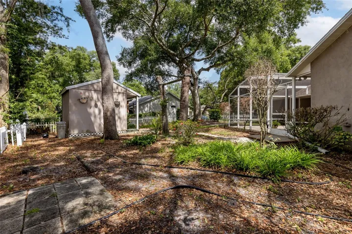 View of backyard from the side driveway