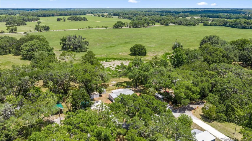 Back yard looks onto state land.