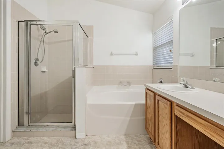Master bath shower and soaking tub