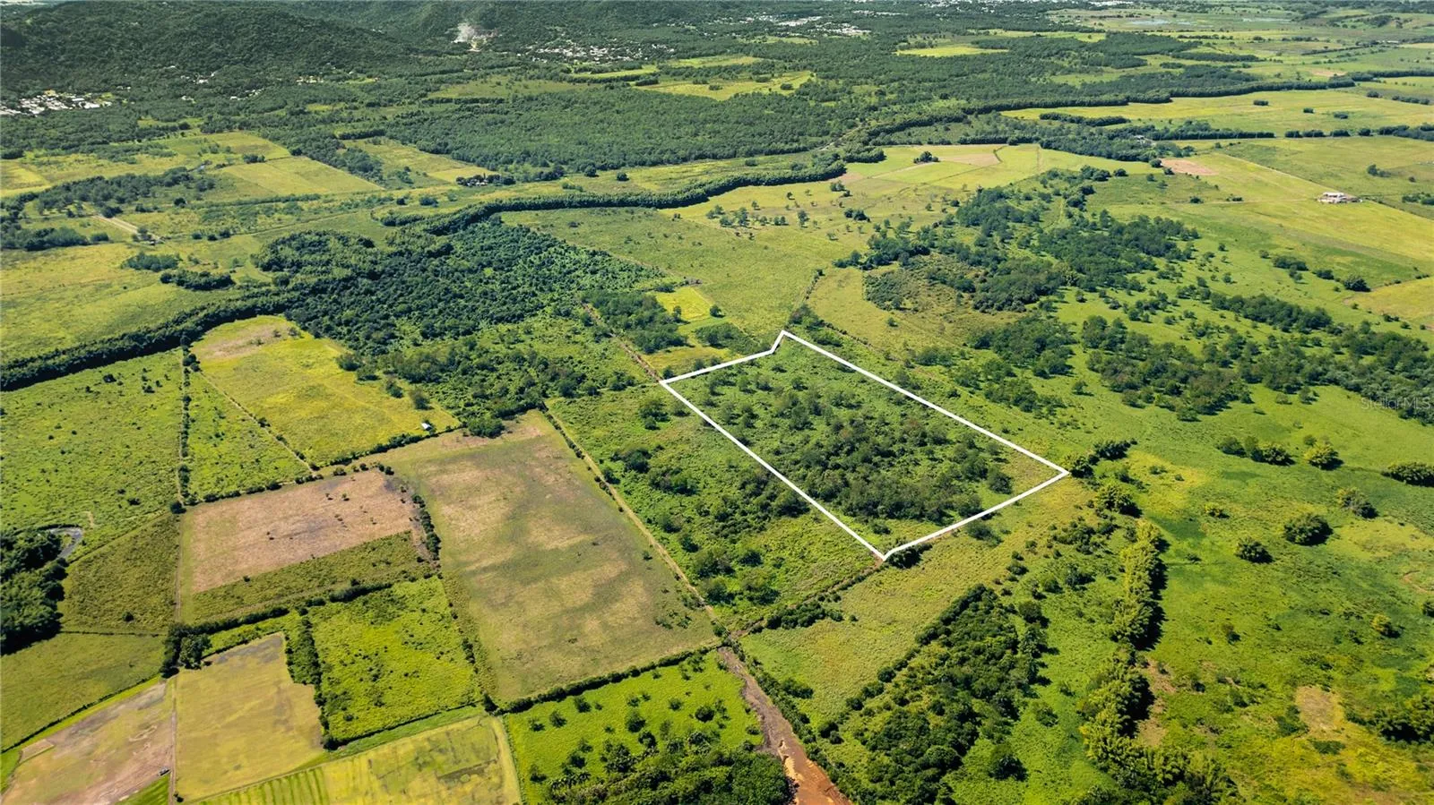 Vacand Land