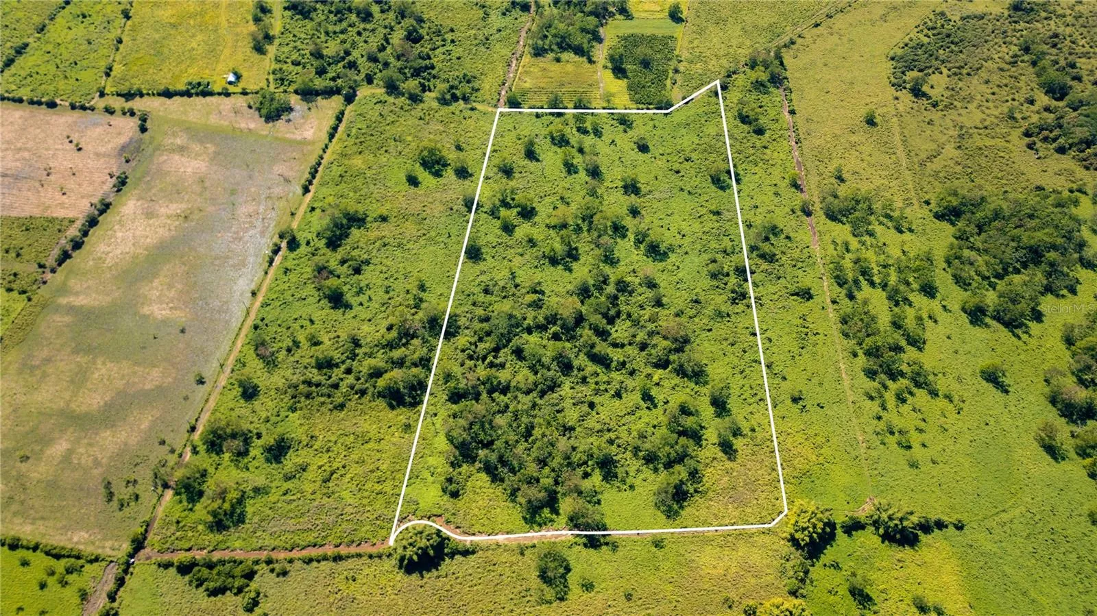 Vacand Land