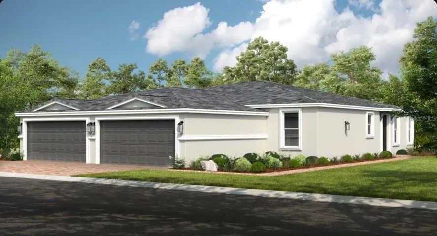 Caicos Rendering