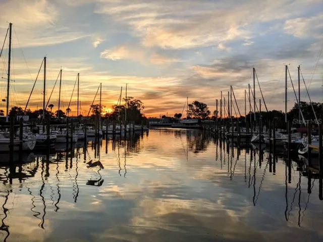 BG Marina