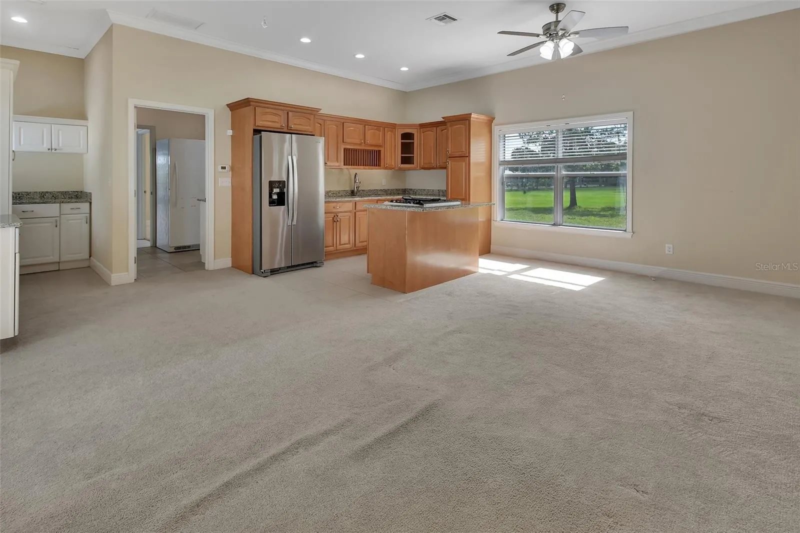 Multi-gen Suite Living Room & Kitchen
