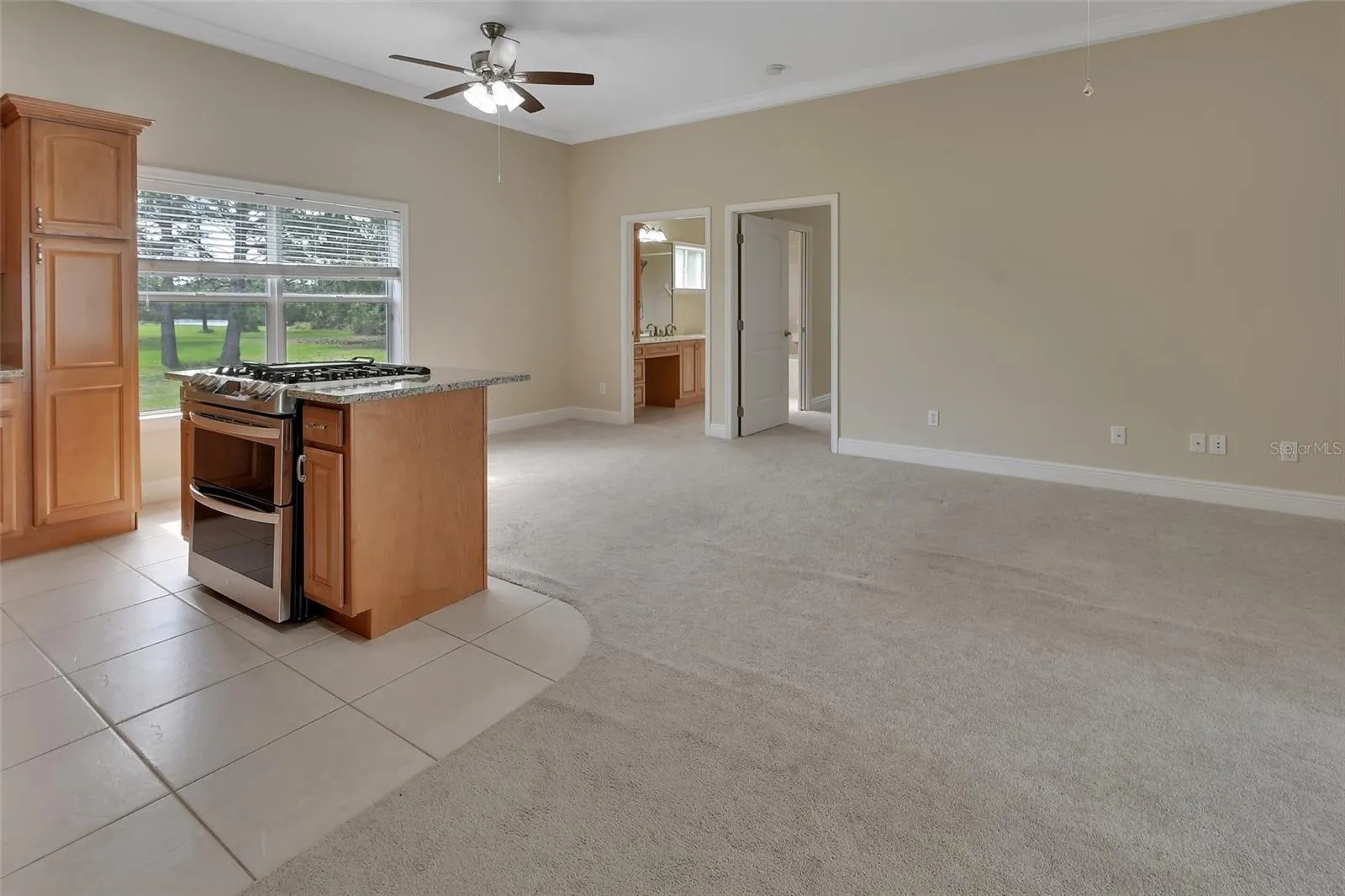 Multi-gen Suite Living Room & Kitchen