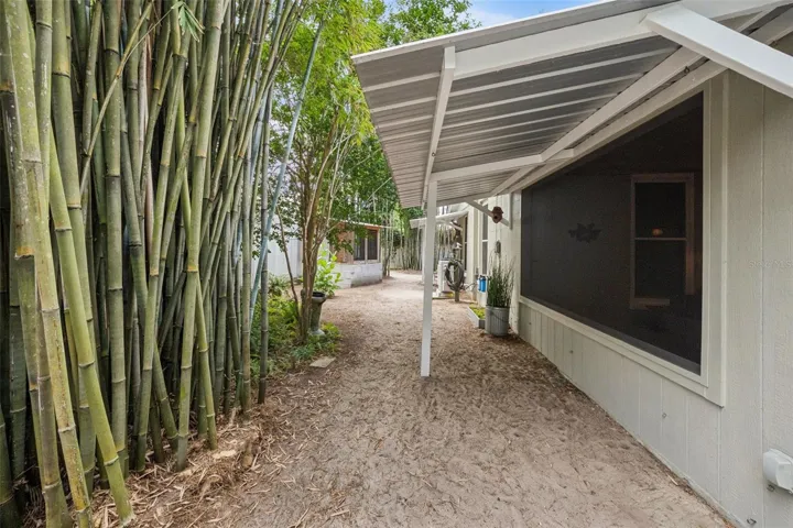 Backyard w/Bamboo