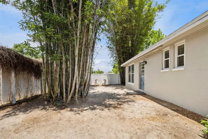 Backyard