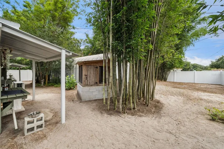 Backyard