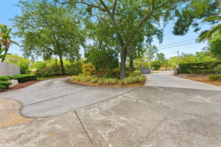 Mature Trees and Spacious Front Yard