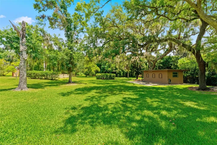 Expansive Backyard with Shed