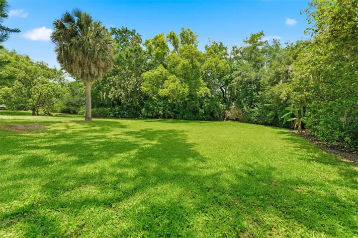 Lush Green Outdoor Space