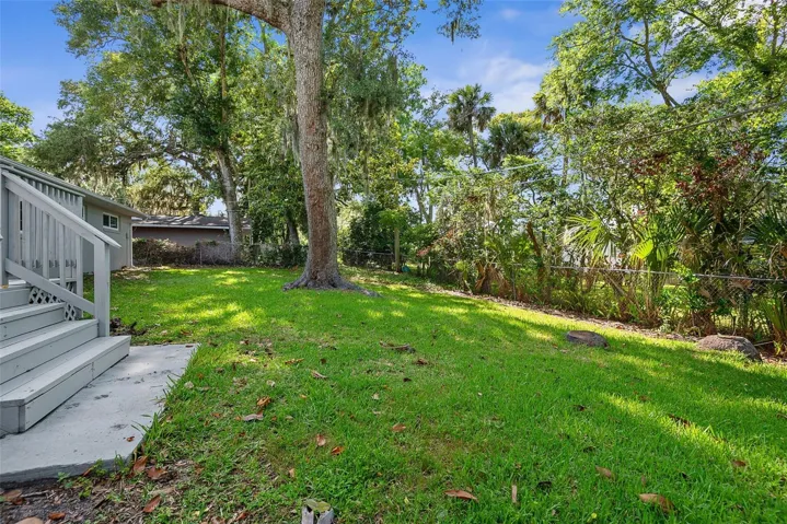 Backyard