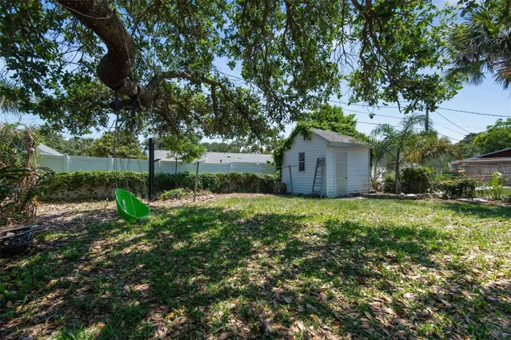 Back yard