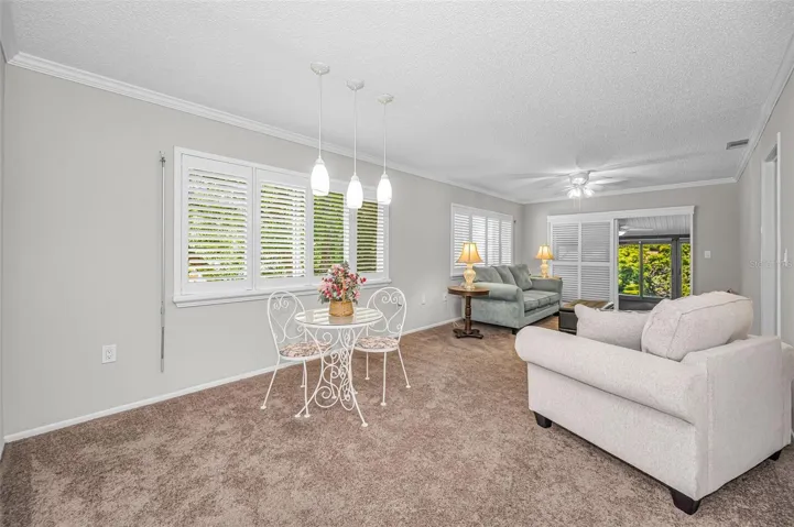 Living Room - Dining Room Combo