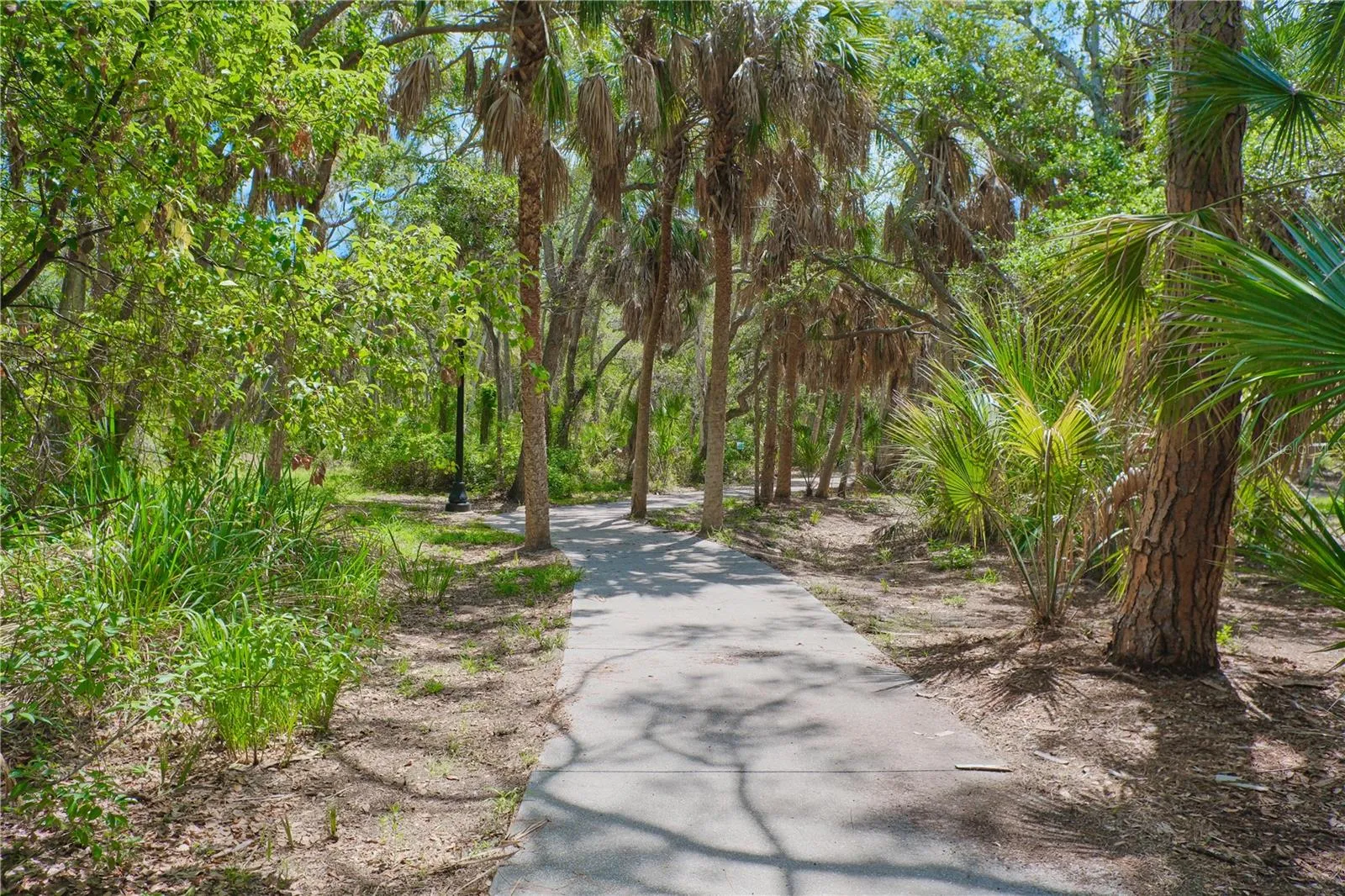 Water Tower Park Paved Walking Trail