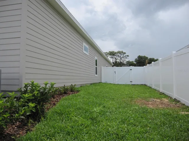 Right side back yard