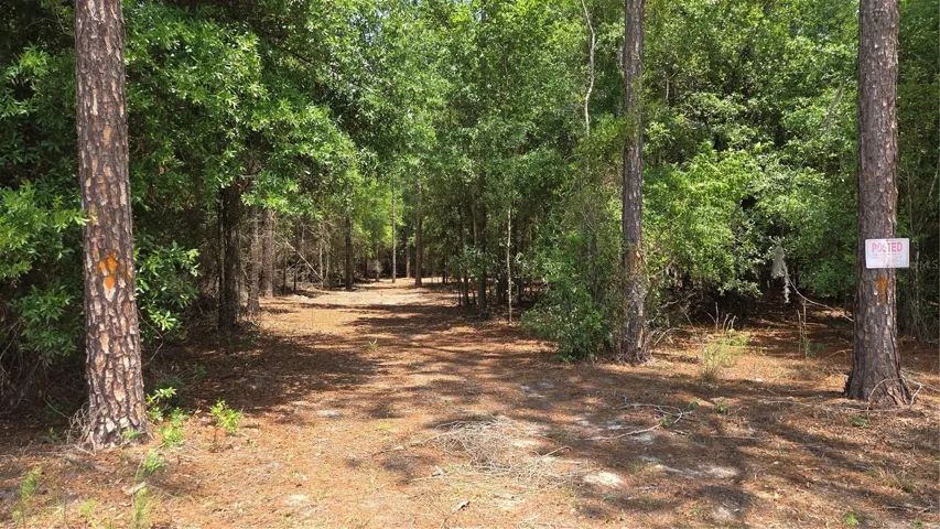 entrance driveway