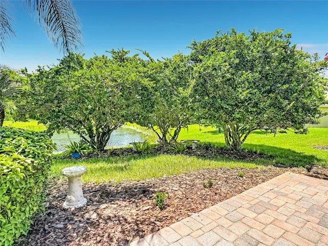 Backyard w/ Great Landscaping!