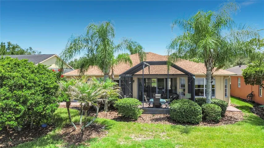 Backyard Oasis!