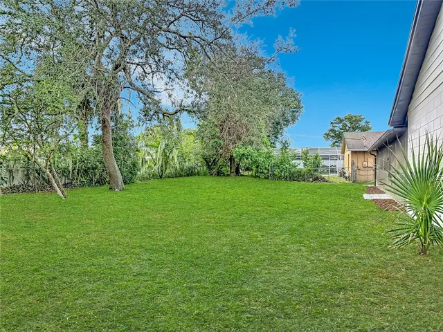 Back yard