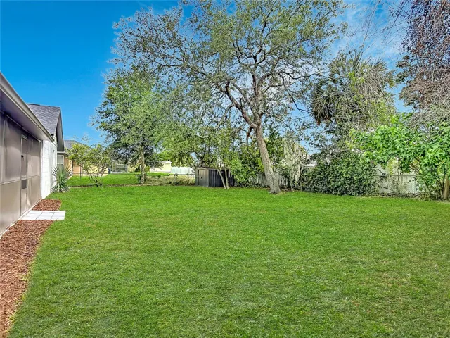 Backyard showing shed.