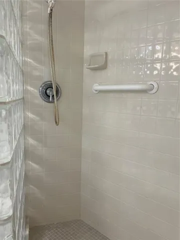 Master Walk-In Shower