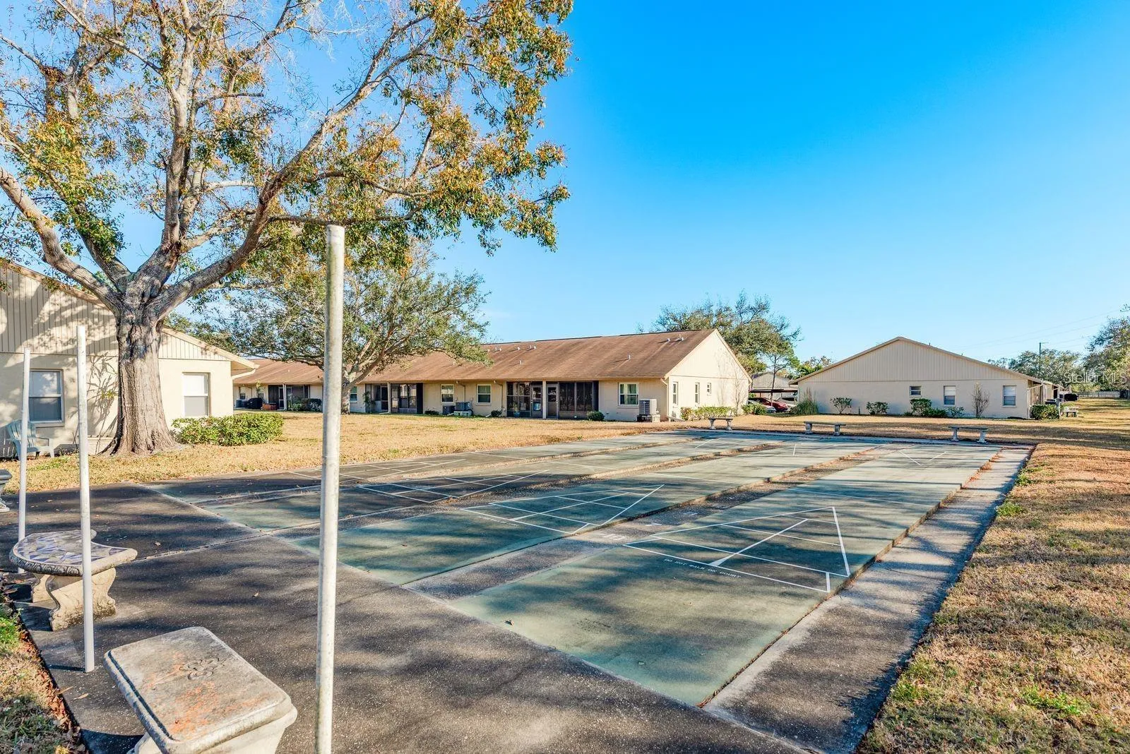 Shuffleboard Court