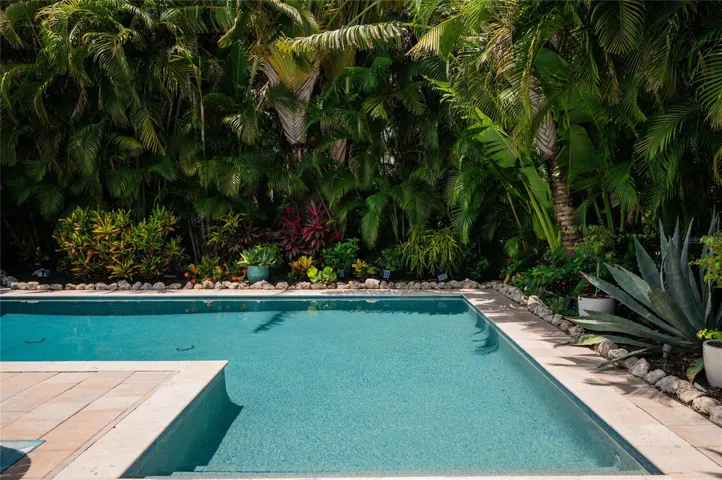 Mature tropical landscape all around