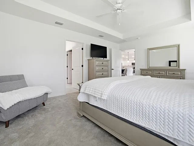 Primary bedroom, king size bed