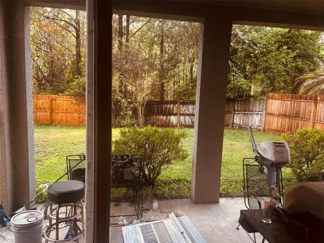 Backyard views