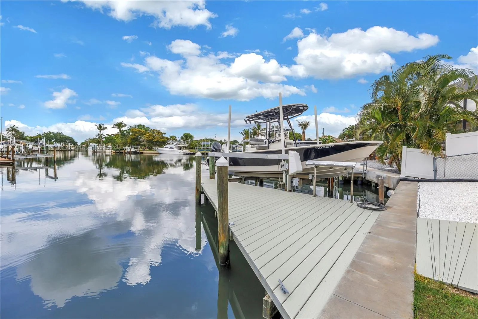 Dolphins and Manatees right at your dock!!