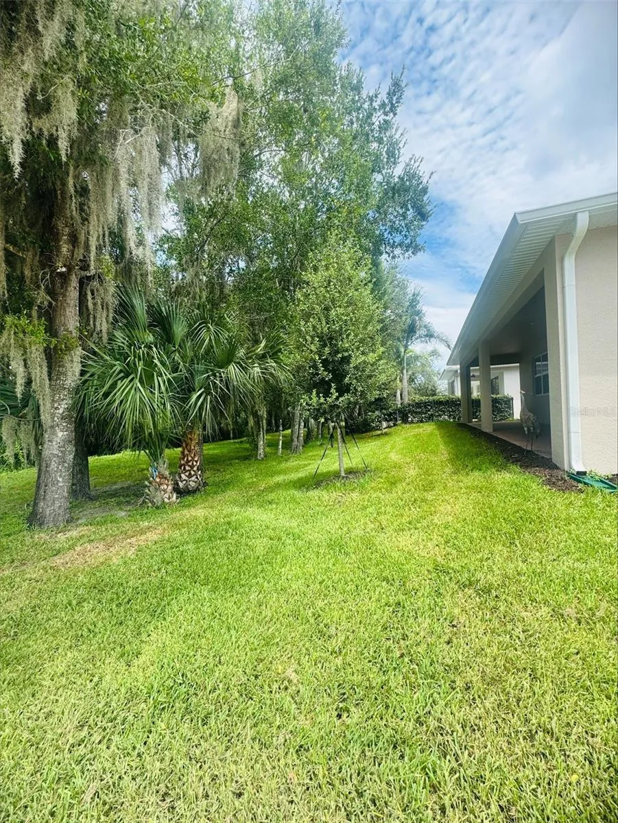 Backyard/No rear neighbors
