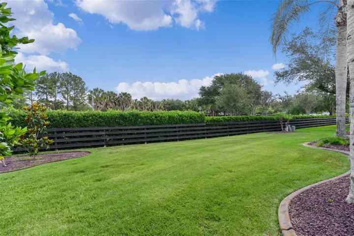 Beautiful private backyard