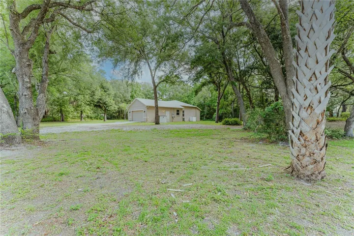 Yard