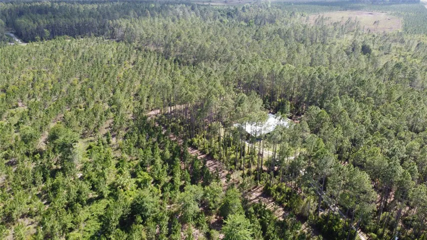 Aerial View From Driveway