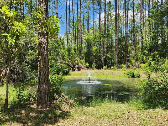 Pond With Fountain