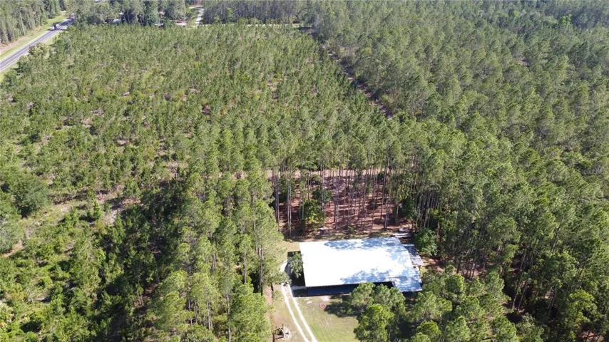 17.97 Acre Tree Farm