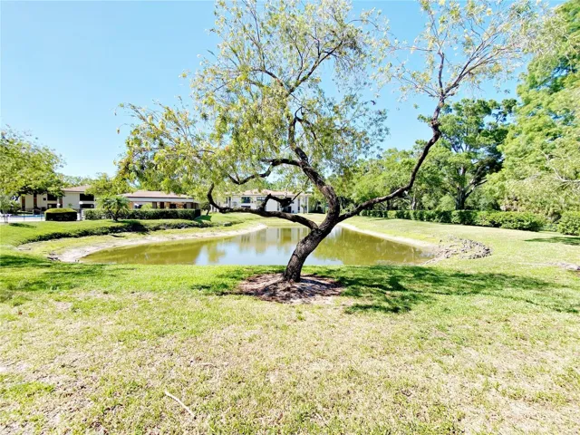 View of Pond from back