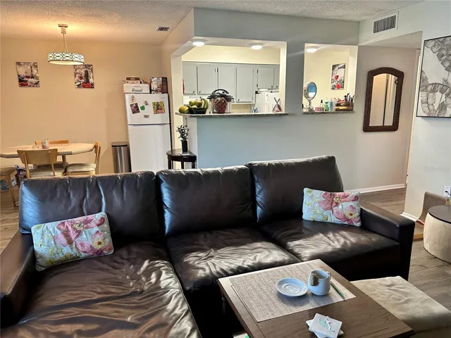 Kitchen/Living/Dining Areas