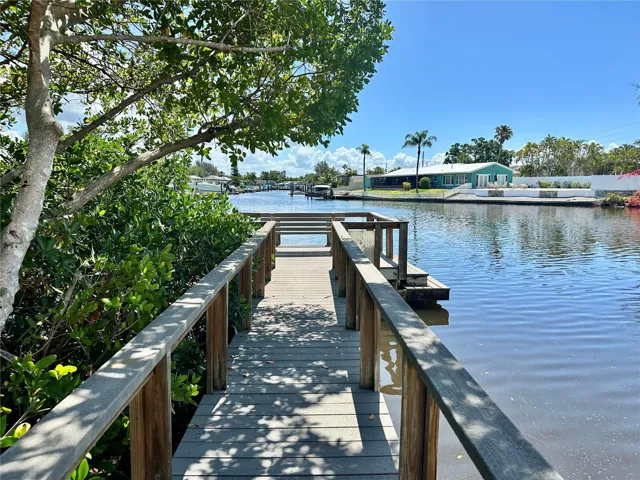 Dolphin and Manatee watching right in your back yard!
