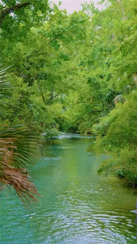 Kelly Park/Rock Springs