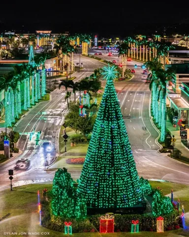 Fantastical Christmas display with horse drawn carriages, ice skating, outdoor movies and light shows....
