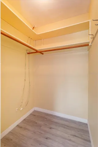 primary bedroom walk-in closet